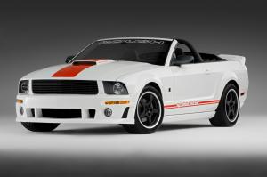 Ford Mustang Speedster by Roush 2008 года